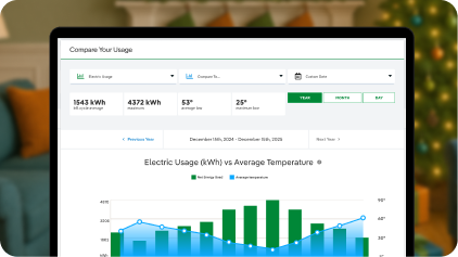 image of energy manager dashboard