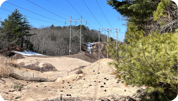 Image showing trees and transmission lines