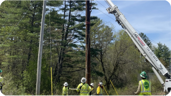crew working on replacing a pole in front of a forested area