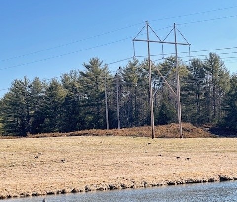 A visual rendering of new steel pole structure